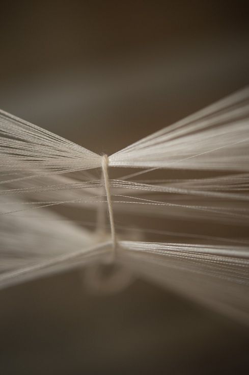 MODAL material image